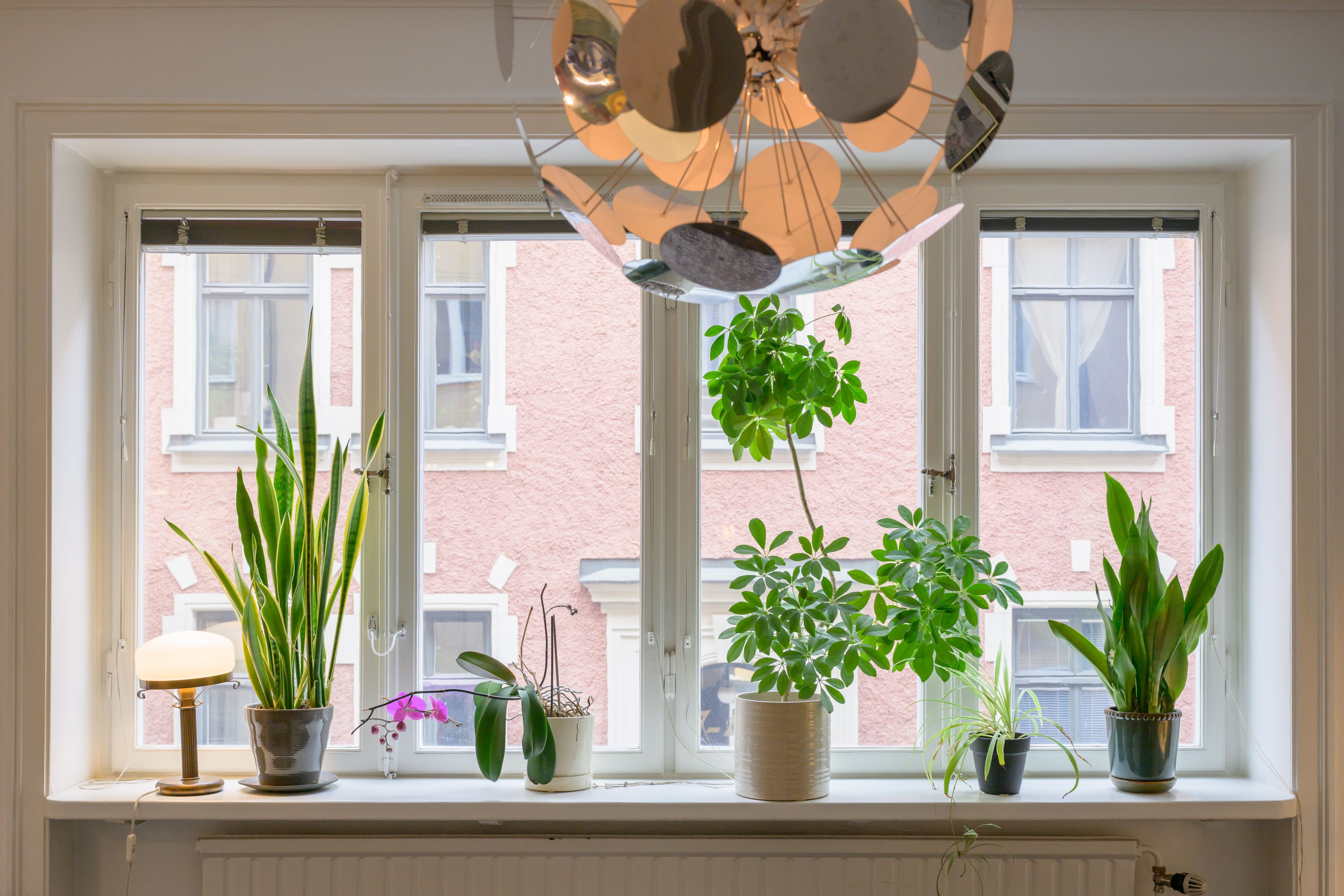 Apartment 1 view 24
